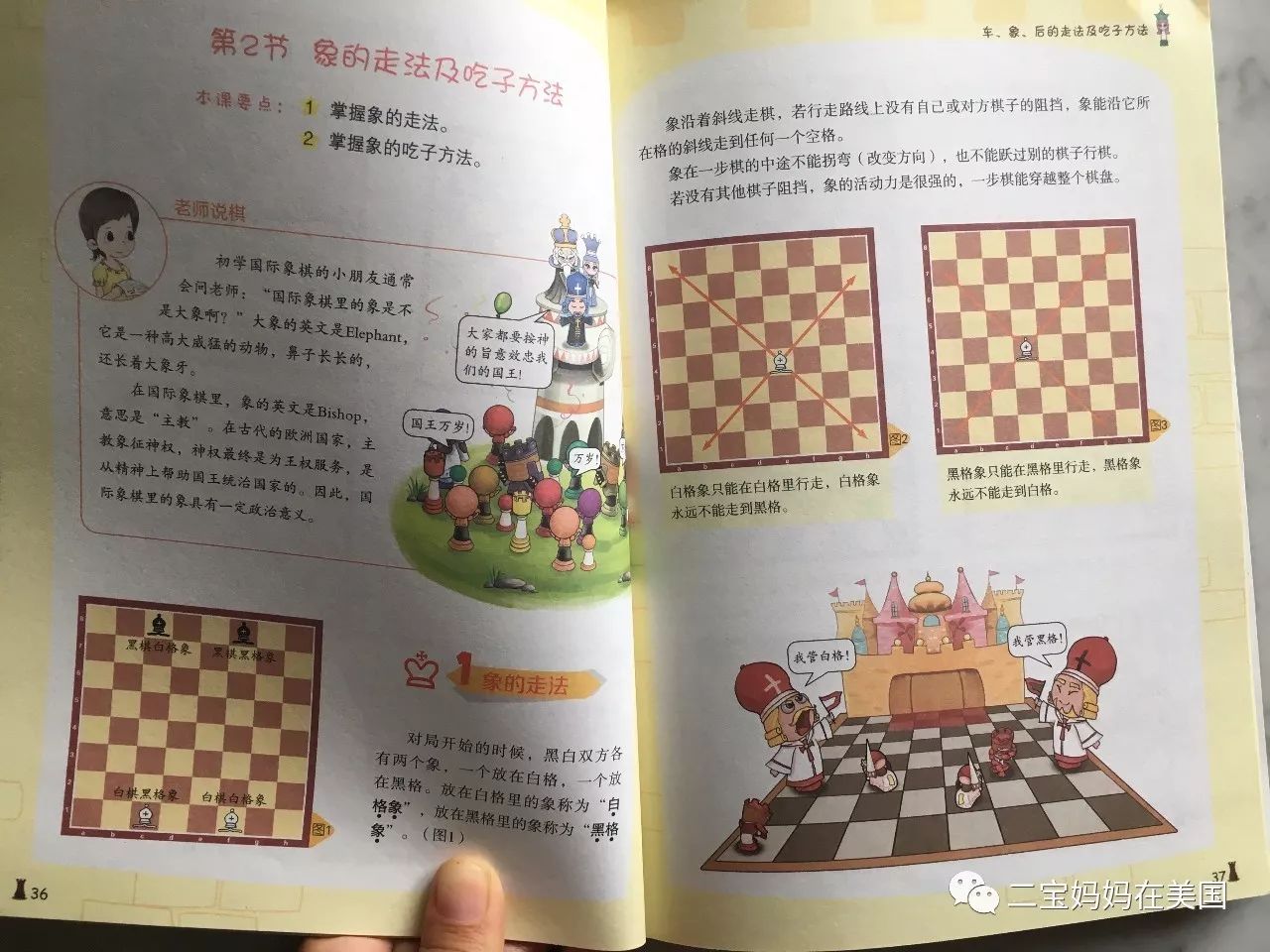 助力孩子的智力發育——國際象棋(圖8)