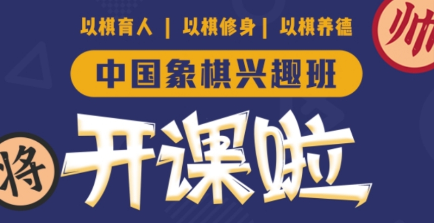 七大青少兒國際象棋階段課程培訓機構(圖2)